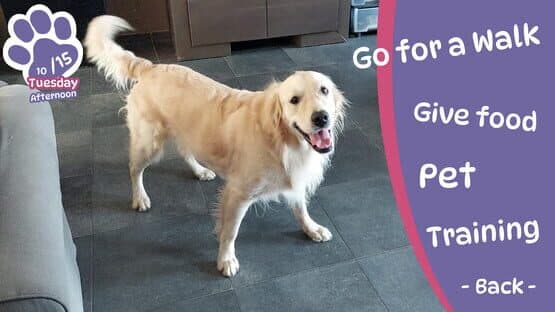 Golden Retriever Simple Life — screenshot 1