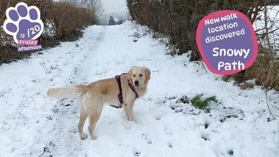 Golden Retriever Simple Life — screenshot 3