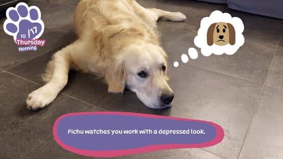 Golden Retriever Simple Life — screenshot 5
