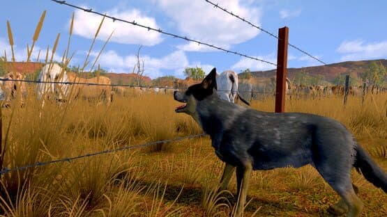 Pasture: The Livestock Simulator — screenshot 5