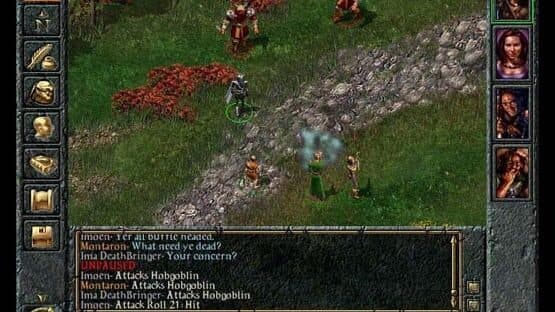 Baldur's Gate — screenshot 5