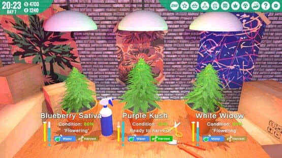 Drug Empire — screenshot 1
