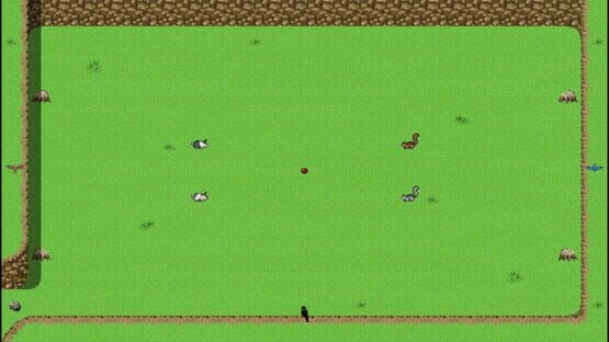 Bunnies & Ballgames! — screenshot 1