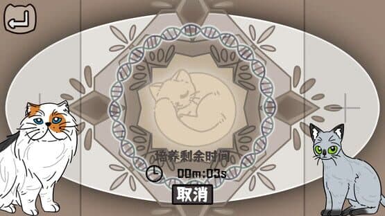 Cat Familiar Center — screenshot 3