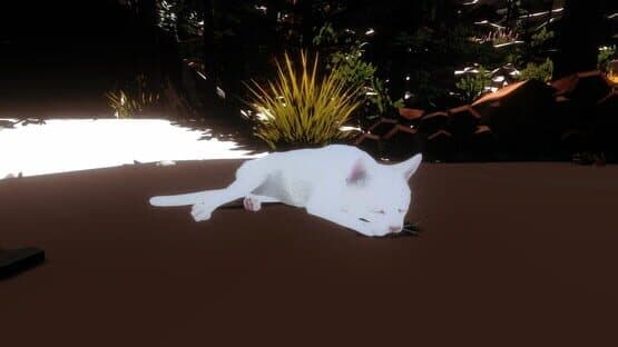 Campfire with Cat — screenshot 5
