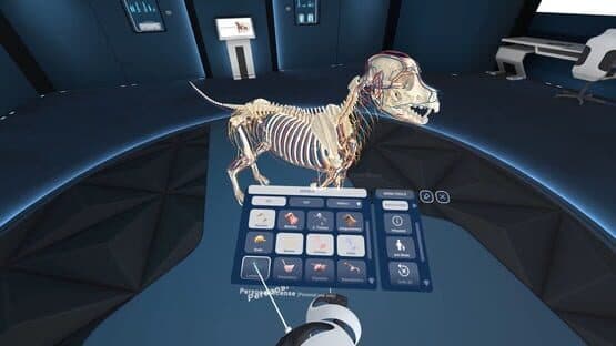 Animal Anatomy VR — screenshot 1