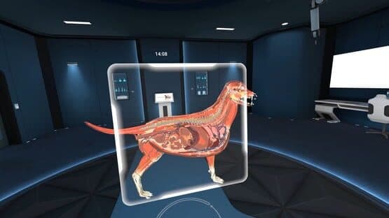 Animal Anatomy VR — screenshot 2
