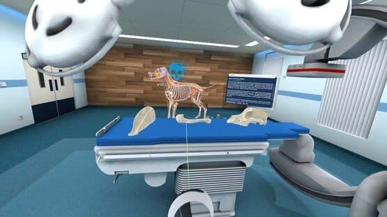 Animal Anatomy VR — screenshot 3
