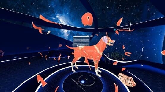 Animal Anatomy VR — screenshot 4