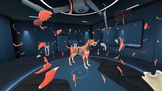 Animal Anatomy VR — screenshot 5