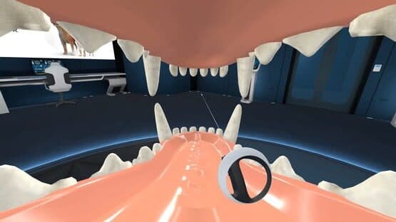 Animal Anatomy VR — screenshot 6