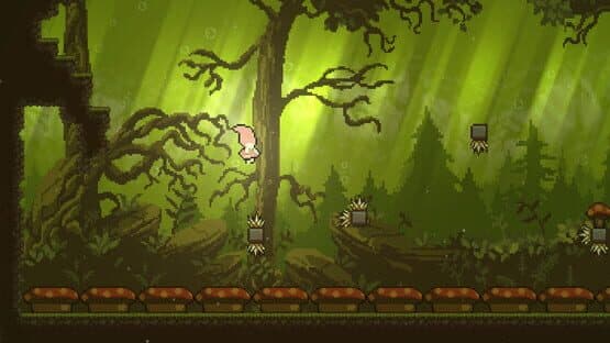 Suiren — screenshot 5
