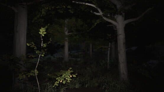 Blinding Oversight — screenshot 4
