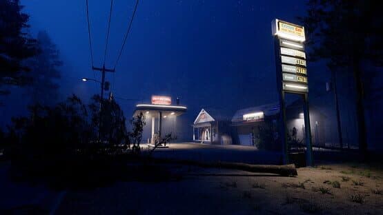 Before Exit: Gas Station - Midnight DLC — screenshot 2