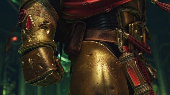 Warhammer 40,000: Space Marine II: Blood Angels Champion Pack — screenshot 5