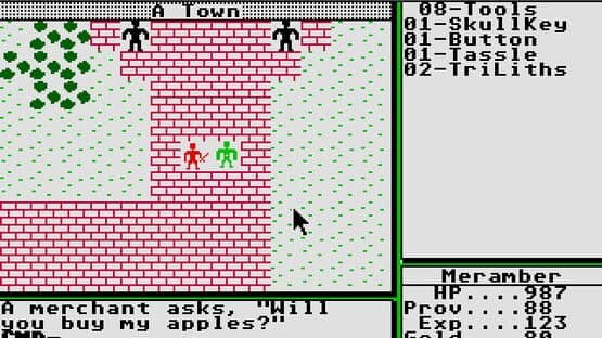 Ultima II: The Revenge of the Enchantress — screenshot 2