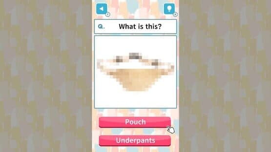 Mosaic Quiz — screenshot 4