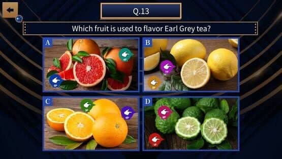 National Quiz of Common Sense — screenshot 2