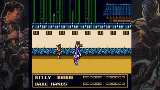 Double Dragon III: The Sacred Stones — screenshot 1