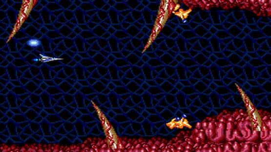 Salamander — screenshot 2