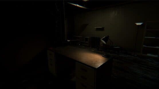 Subject 33 — screenshot 3