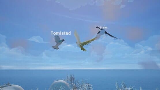 Bird Game 3 — screenshot 2