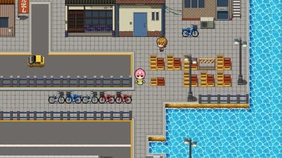 Dark Flowers: Tiny Starlight — screenshot 4
