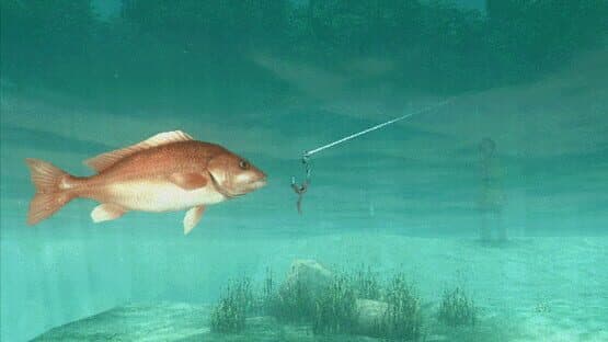 About Fishing — screenshot 1