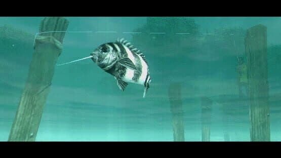 About Fishing — screenshot 6