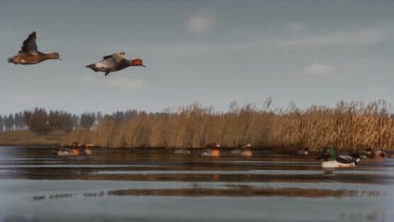 Bult: Hunting Simulator — screenshot 1
