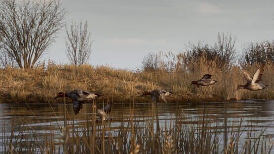 Bult: Hunting Simulator — screenshot 2