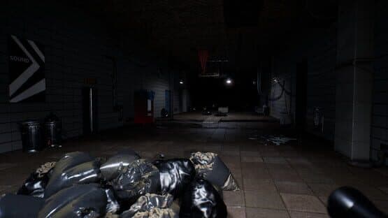 The Late Arrival — screenshot 3