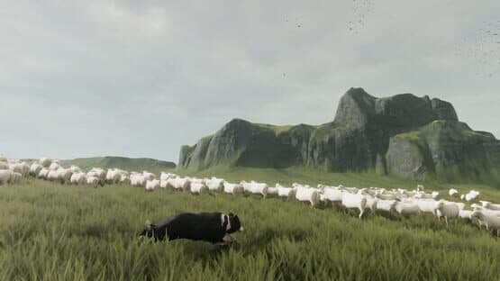 The Free Shepherd — screenshot 1