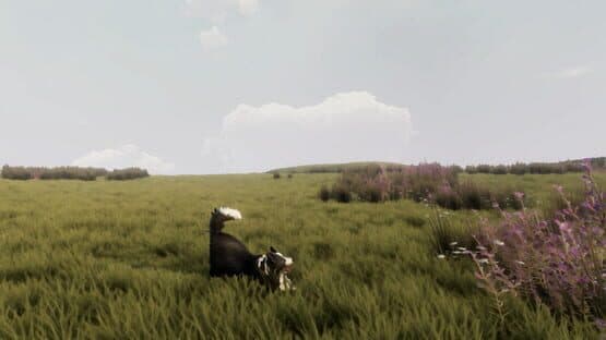 The Free Shepherd — screenshot 3