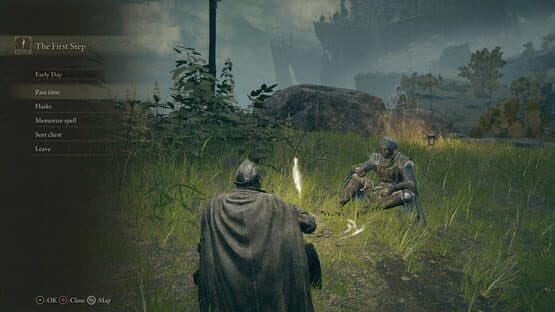 Elden Ring Seamless Co-op — screenshot 2