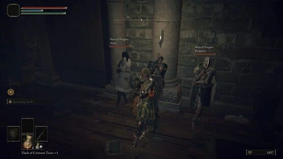 Elden Ring Seamless Co-op — screenshot 3