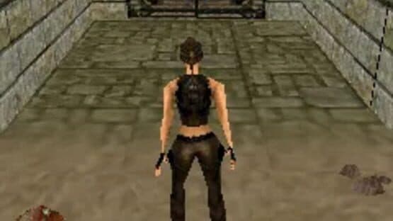 Tomb Raider: Underworld — screenshot 4