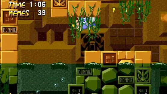 Donnie the Chao Final Mix — screenshot 2