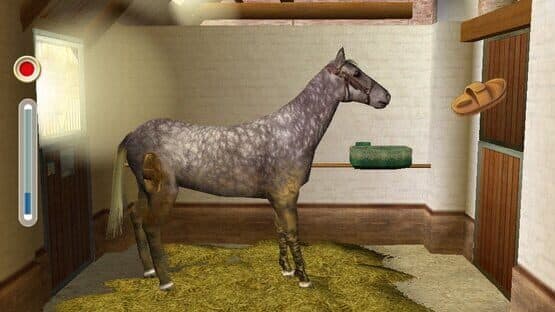 Alexandra Ledermann 5 : Legacy of the Stud — screenshot 1