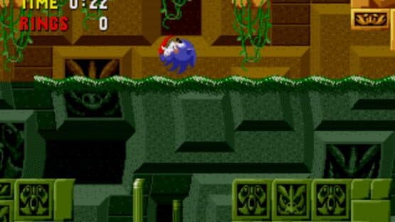 Sonic Labyrinth — screenshot 1