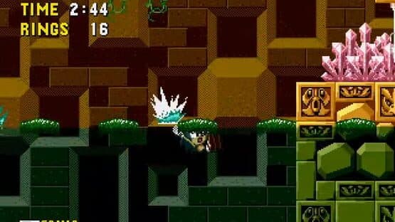 Sonic the Hedgehog: A New Adventure — screenshot 2