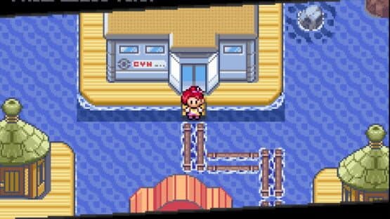 Pokemon: Too Many Types 2 — screenshot 3