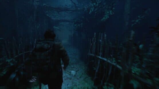 The Twilight Project — screenshot 1
