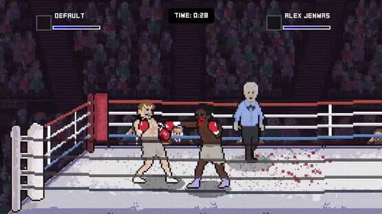 Bruisers 2D Boxing — screenshot 1