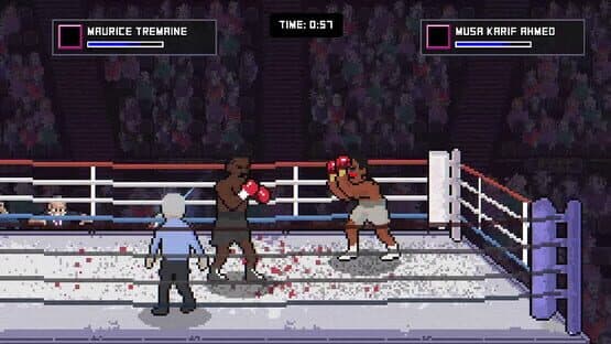 Bruisers 2D Boxing — screenshot 5
