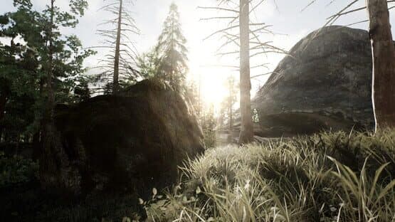 Skye — screenshot 2