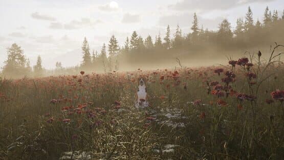 Way of the Hunter 2 — screenshot 1
