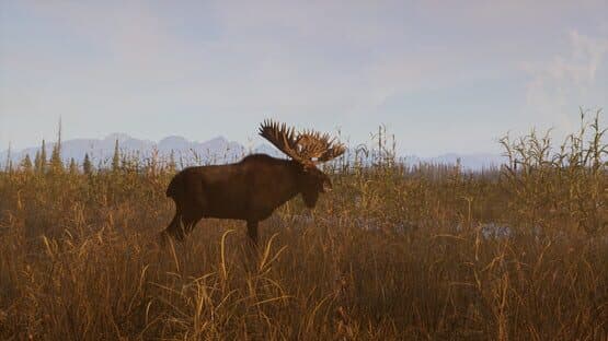 Way of the Hunter 2 — screenshot 3