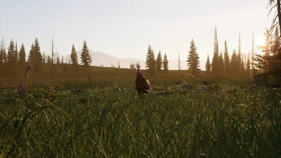 Way of the Hunter 2 — screenshot 6