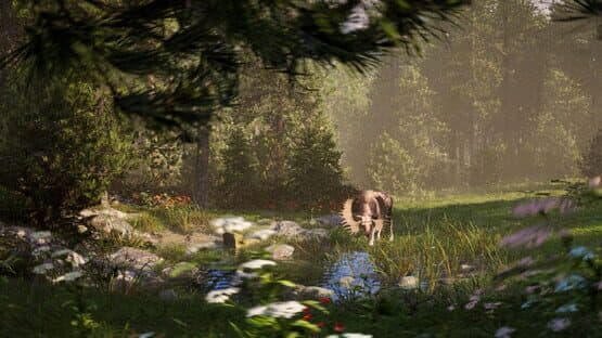 Way of the Hunter 2 — screenshot 8